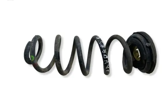 Dacia Sandero II Rear coil spring 