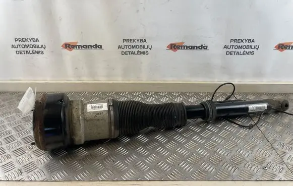 Rear shock absorber/damper