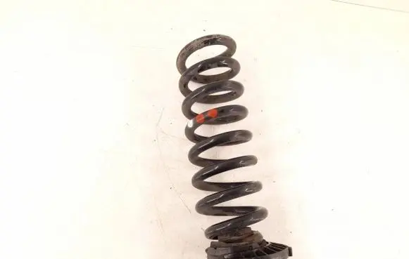 Rear coil spring