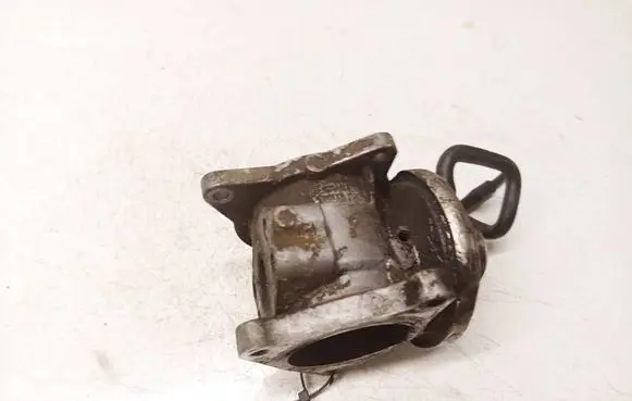 Seat Leon (1P) EGR valve 038131501AN