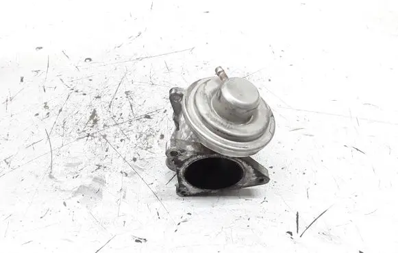 Skoda Octavia Mk2 (1Z) EGR valve 038131501AN