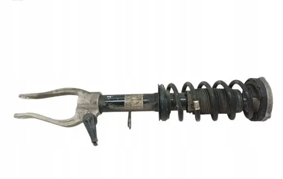BMW 5 G30 G31 Front shock absorber/damper 6896023