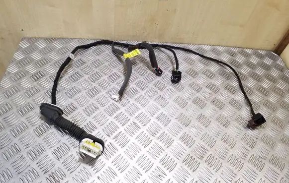 Rear door wiring loom