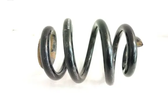 Rear coil spring