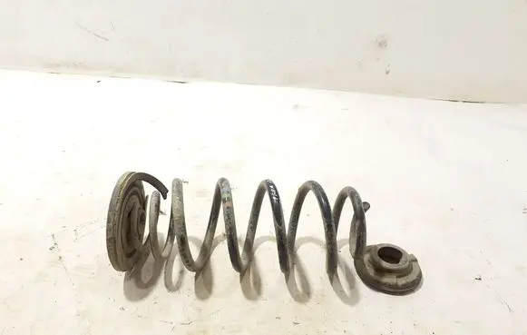 Rear coil spring