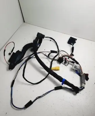 Front door wiring loom