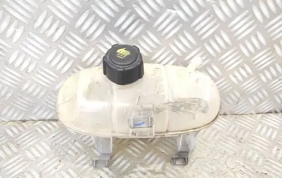 Renault Trafic III (X82) Coolant expansion tank/reservoir 217101893R