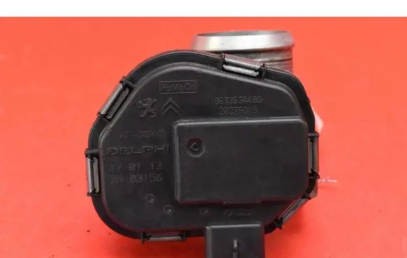 Throttle body valve