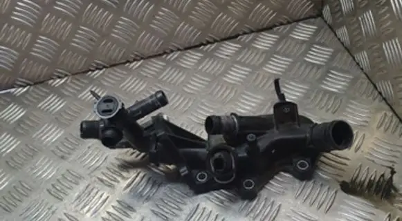 Thermostat/thermostat housing