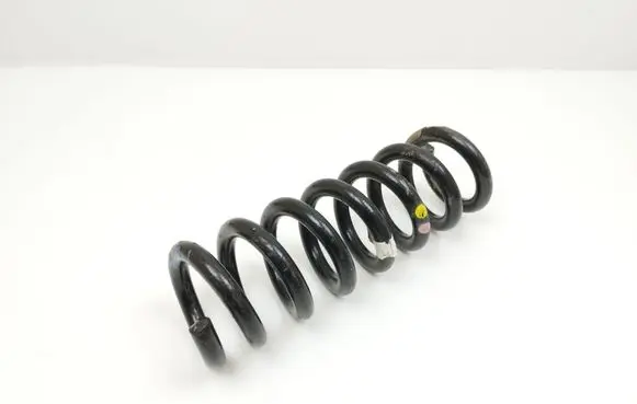 Rear coil spring