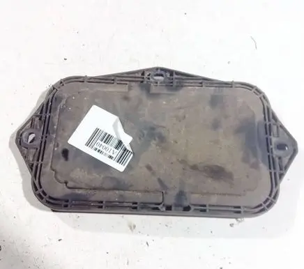 Headlight/headlamp dust cover