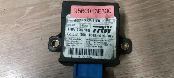 KIA Sorento Other control units/modules 956003E300
