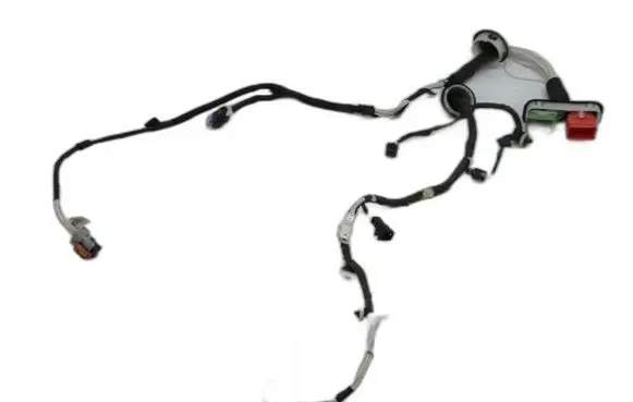 Rear door wiring loom