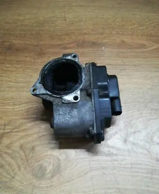 EGR valve