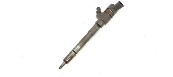 KIA Carens II Fuel injector 0445110258 3380027400