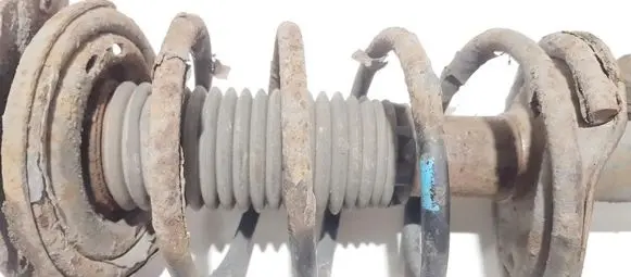 Peugeot 206 Front coil spring