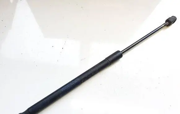 Tailgate/trunk strut/damper