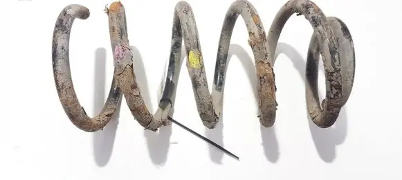 Hyundai Santa Fe Rear coil spring