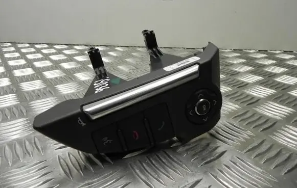 Multifunctional control switch/knob