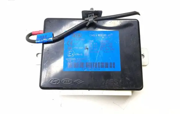 KIA Sportage Other control units/modules 954001f600 K3806 48387a1000