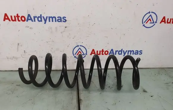 Rear coil spring