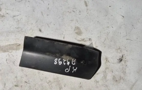 Rear/tail light trim molding