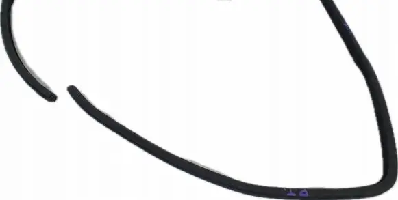 Dodge Charger Rubber seal rear door JJJ3
