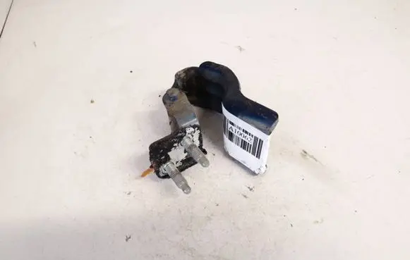 Volkswagen PASSAT B6 Tailgate/trunk/boot hinge 3c9827301