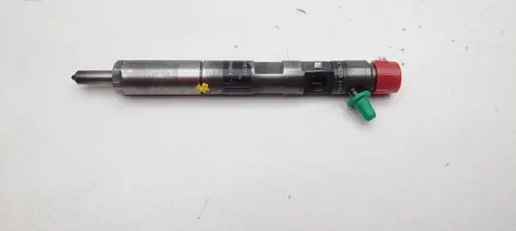 Renault Kangoo I Fuel injector EJBR02101Z 49515K27F54 EJBR04101D