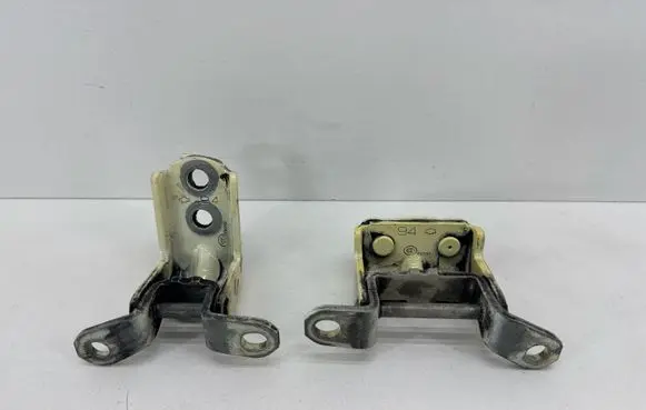 Nissan Leaf II (ZE1) Rear door hinge set 