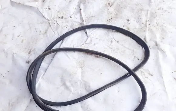 Audi A6 S6 C5 4B Rubber seal front coupe door