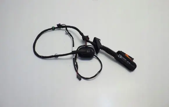 Volkswagen Taigo Rear door wiring loom 2G0970136F