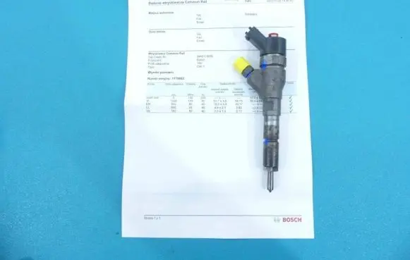 Citroen Xsara Picasso Fuel injector 0445110076 IMPRK1179662