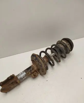 Opel Meriva A Front shock absorber with coil spring