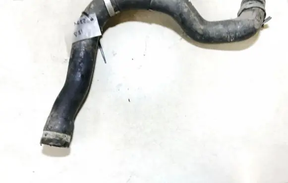 Renault Rapid Engine coolant pipe/hose