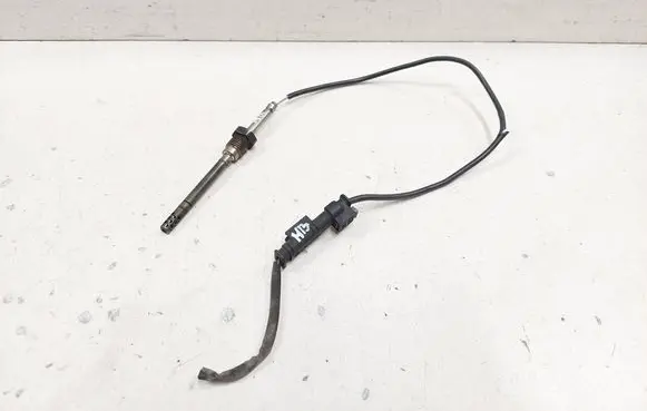 Exhaust gas temperature sensor