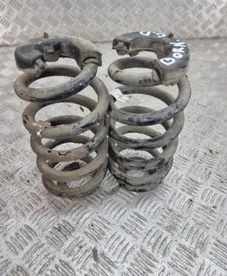 Rear coil spring