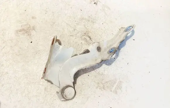 Toyota Hilux (AN10, AN20, AN30) Engine bonnet/hood hinges