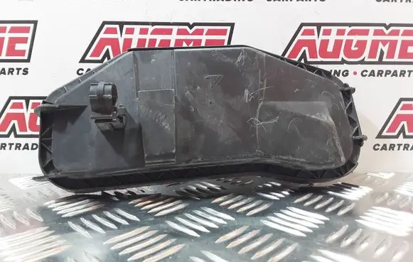 Citroen Jumper Headlight/headlamp dust cover 41550749