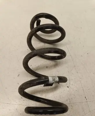 Rear coil spring