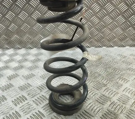 Honda Civic X Rear coil spring 52441TGHA11
