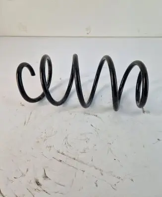 Front coil spring