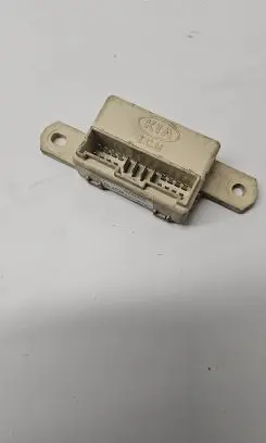 KIA Sorento Other control units/modules 913103E810