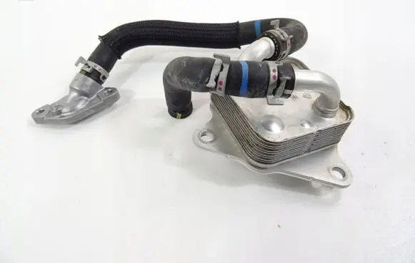 Toyota RAV 4 (XA50) Engine oil radiator 