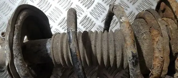 Front coil spring