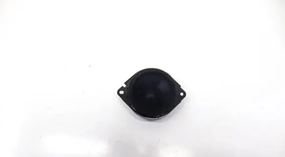 Rear door speaker