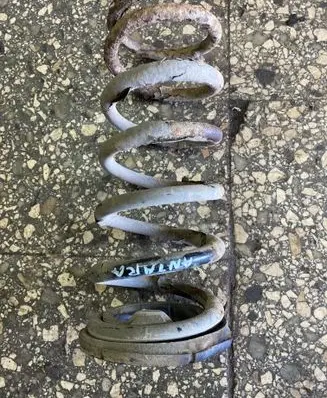 Rear coil spring