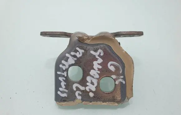 Rear door lower hinge