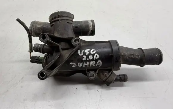 Thermostat/thermostat housing