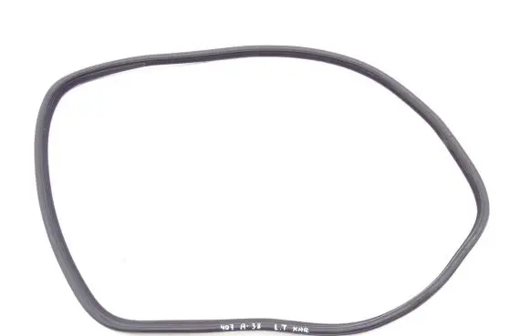 Peugeot 407 Rubber seal rear door 